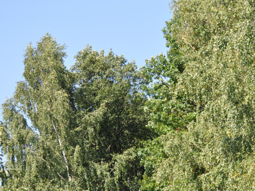 42743 (a): :1600x1200